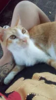 Tito