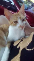 Tito