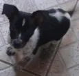 Linda