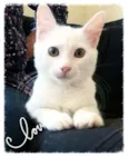 Joaquim 