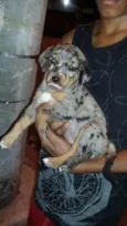 MALHADINHA