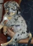 MALHADINHA