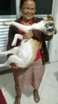 MEL