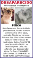 Pitico