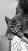MIA
