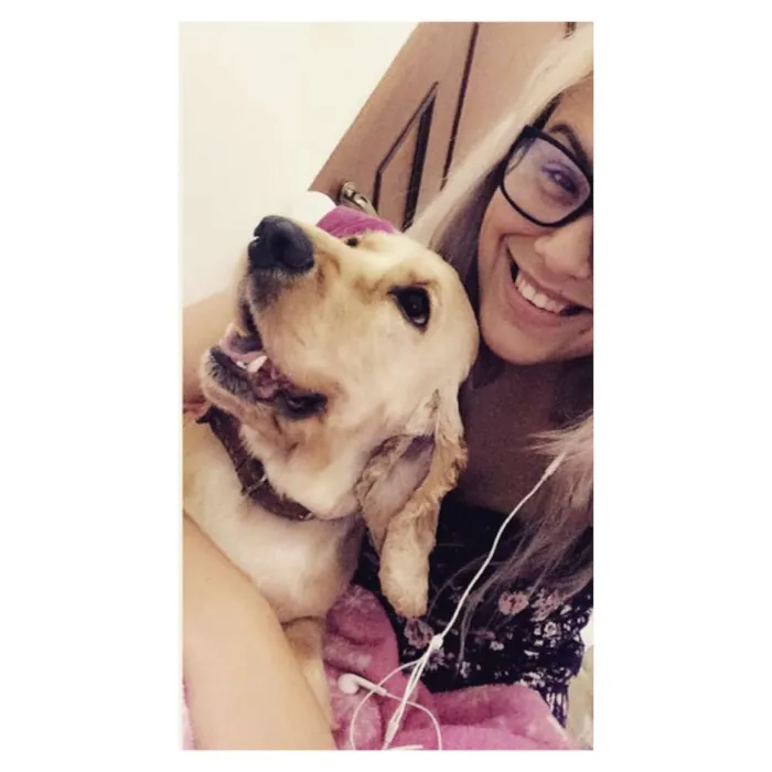 Cachorro ra a Cocker idade 3 anos nome clara
