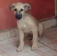 Milly