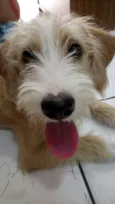 CHICO