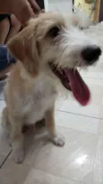 CHICO