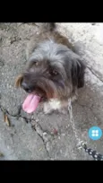 Leon