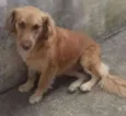 Belzinha