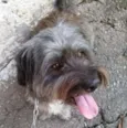 Leon
