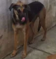 Beny