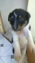 Sophia