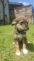 SEM NOME - 1