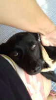 CHOKITO