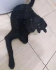 Scoob