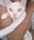 Kyara perola magali 