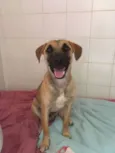 SNOOP