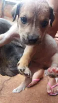 Ainda estão sem nome