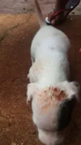 Ainda estão sem nome