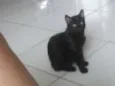 Sem nomes definidos