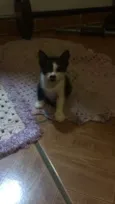 Sem nomes definidos