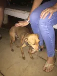 indefinido 