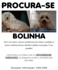 Bolinha