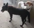 Raí e Linda