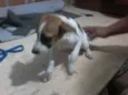 indefinido