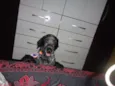 Billy