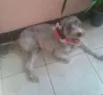 VITORIA