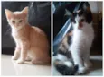 Teo e Lola