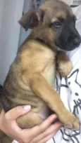 Não sabemos 