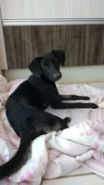 Lilí