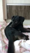 Lilí