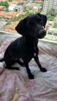 Lilí