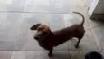 Bem