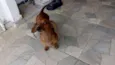 Bem