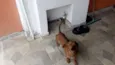 Bem