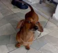 Bem