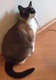 Slip