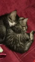 Nini e Frau