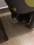 Nini e Frau