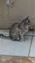 MIGUILITA
