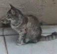 MIGUILITA