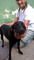 BELINHA