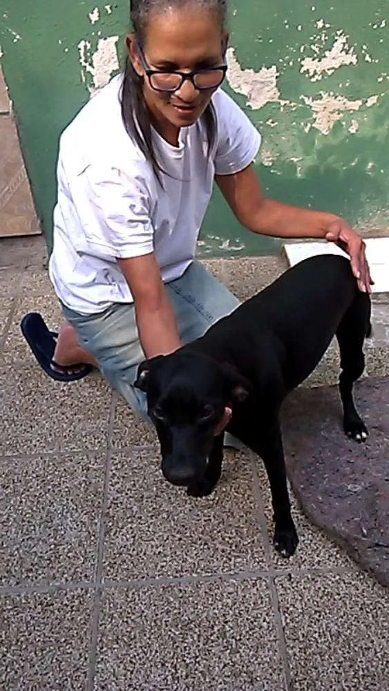 Cachorro ra a MESTIÇA MANCHESTER idade  nome BELINHA