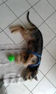 Jhon